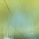 Illustration for article titled iPanoramical/i Is A Trippy Journey Of Light and Sound